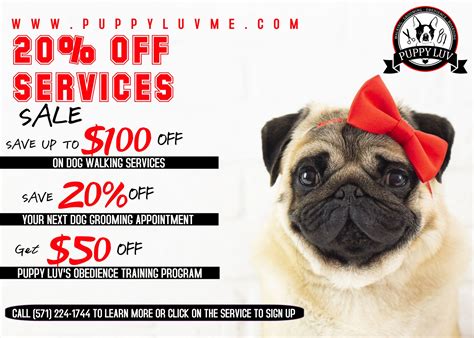 Dog Walking, Dog Grooming, Pet Sitting | Puppy Luv