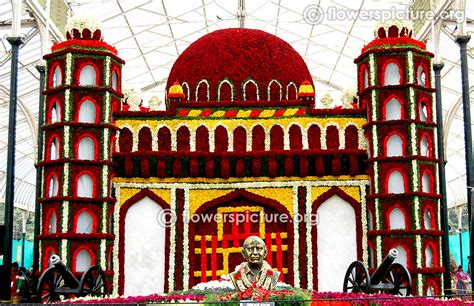 5000+ HD Flowers pictures with Detailed information