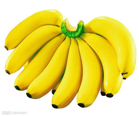 香蕉设计图__水果_生物世界_设计图库_昵图网nipic.com
