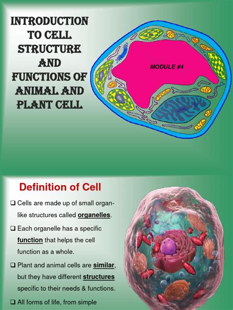 Cell Structure Notes 的图像结果