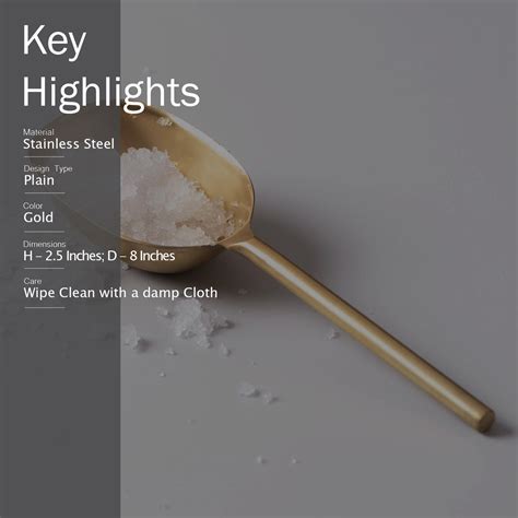Buy Ice Scoop in Gold Color Online in India - Nestroots