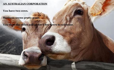 The World Economy Explained With Two Cows