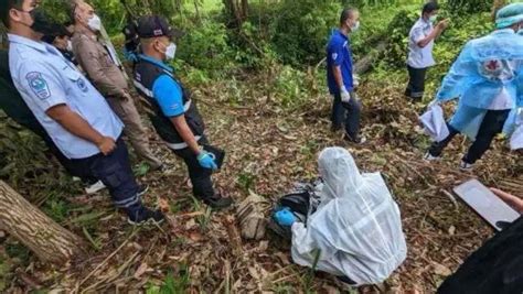 中国女游客被发现在泰国离奇吊死 领事馆回应 - 柬埔寨头条