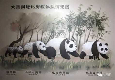 始熊猫的样子,剑齿虎,化石_大山谷图库