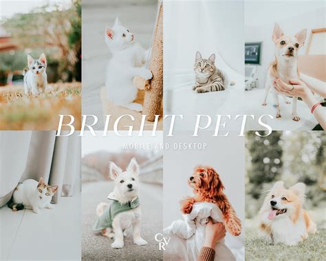 600+ PETS Bundle Presets - Mobile and Desktop - Lightroom Preset Bundle ...