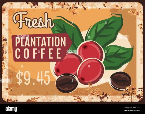 Berries Coffee Shop at Brenda Ferri blog