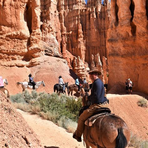 RED ROCK RIDE (2026) All You Need to Know BEFORE You Go (with Photos ...