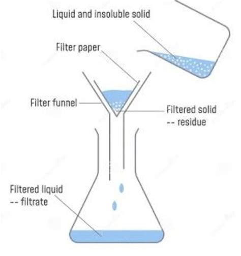 3. Label the diagram and explain the process in your words. please help ...