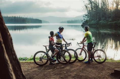 Webrook | AI-First Systems Studio