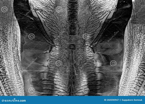 Black White Abstract Acrylic Painting Color Texture on White Paper ...