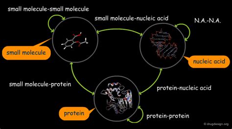 Image result for Molecular Docking Tutorial