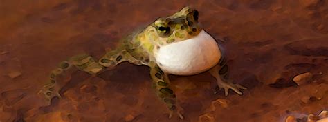 last us pa5 of - sda.org.in