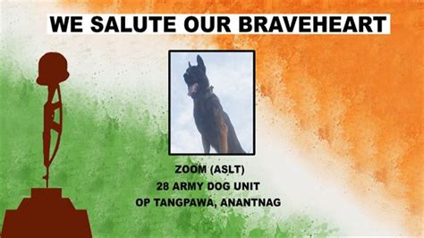 Army Assault Canine Zoom : जांबाज जूम को सेना की श्रद्धांजलि, कोर ...