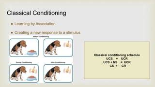 Behaviorism 的图像结果