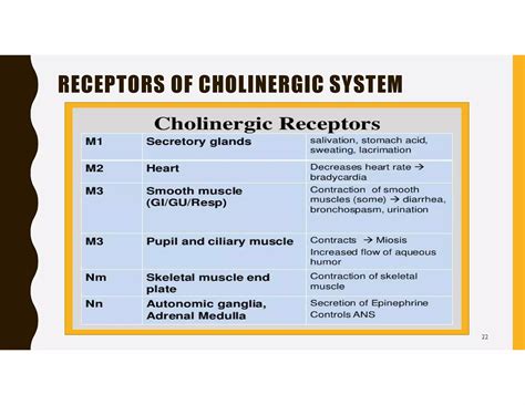 SKV Adrenergic And Cholinergic system | PPT