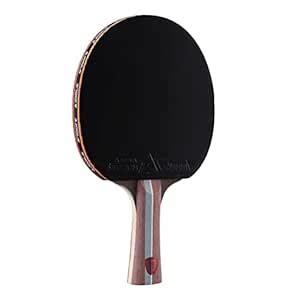Joola Infinity Balance - Advanced Performance Ping Pong Paddle ...