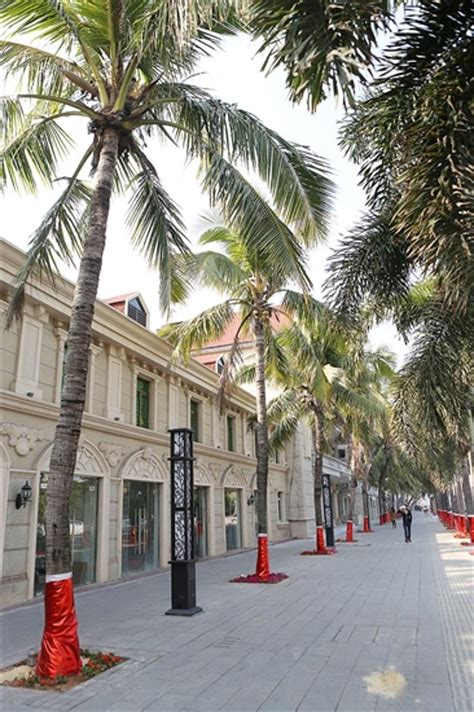 霞山拟围绕5栋历史保护建筑，打造特色法式商业步行街