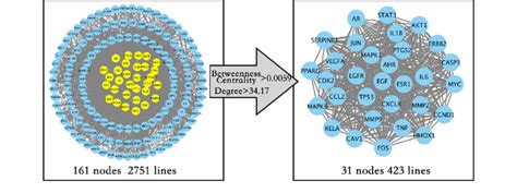Image result for Core Target