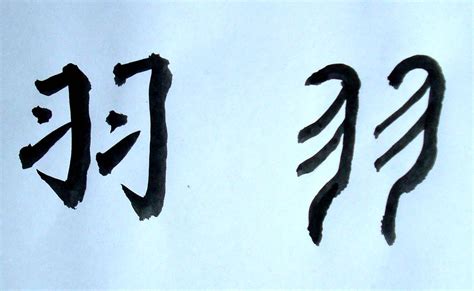 Decoding Chinese -- Jiaguwen 解码中文-甲骨文 中国乐山汪岚: 羽字解码歌 Feather word ...