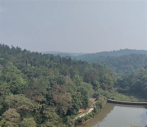 THE IBNII (Coorg/Madikeri) - Hotel Reviews, Photos, Rate Comparison ...