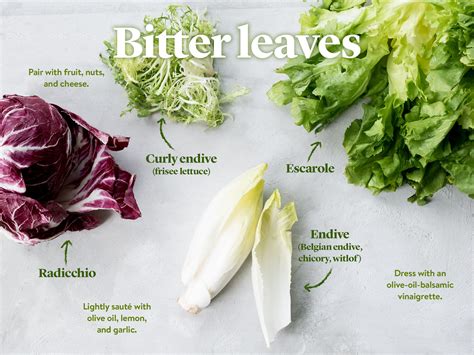 Lettuce Types For Salad