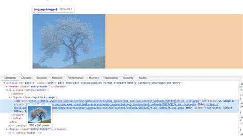WebP 的图像结果