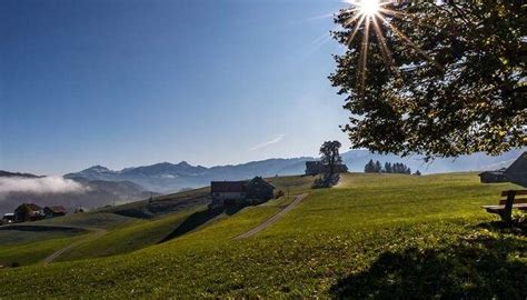 Switzerland In March: Places To Visit & Things To Do In 2024!