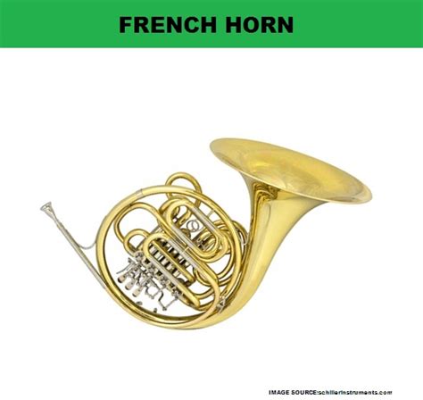 Image result for Brass Instruments French Horn