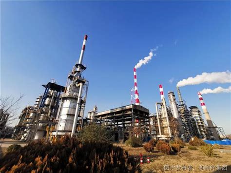 2019中国石油和化工企业500强排行榜新鲜出炉(附名单)_发展