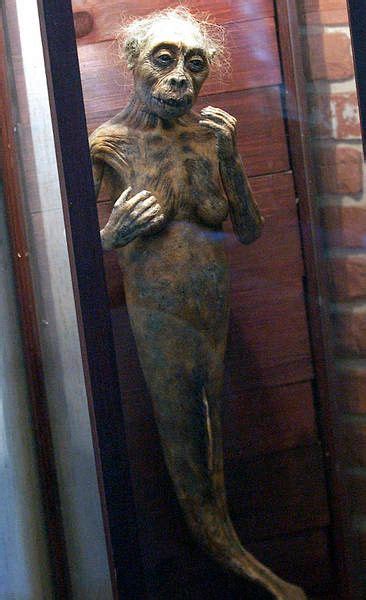 Image result for Alien Movie Pregnancy Women