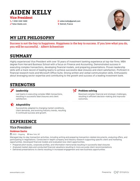 3 Successful Vice President Resume Examples And Writing Tips for 2024
