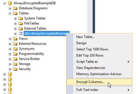 SQL Always Encrypted Retrieve Encrypted Column 的图像结果