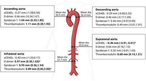 Frontiers | Aortic aneurysms and markers of platelet activation ...
