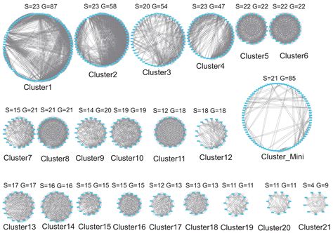 Evolutionary Dynamics and Functional Bifurcation of the C2H2 Gene ...