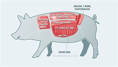Types of Pork Ribs: The Differences Explained - Barbecue FAQ
