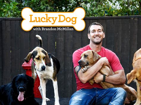 Watch Lucky Dog | Prime Video