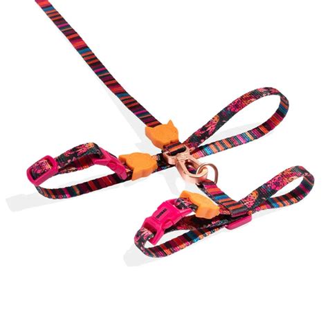 Zigly Cat Store | Complete Range of Cat Products & Essentials for Your ...