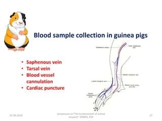 Image result for Chart Work for Computer Science Class 12