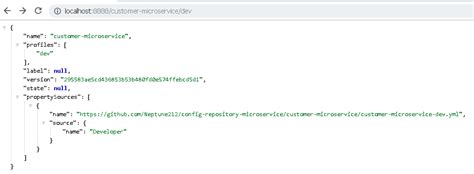 Spring Boot Config 的图像结果