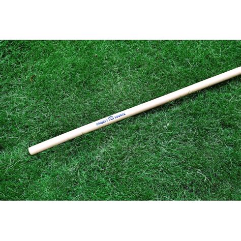 Project Source 26-in Plastic Leaf Rake with Steel Handle 8219 at Lowes.com