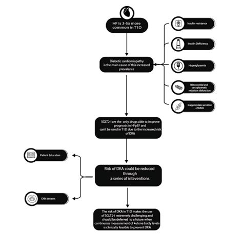 Harnessing the Synergy of SGLT2 Inhibitors and Continuous Ketone ...
