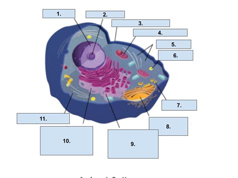 Cellular Structure 的图像结果