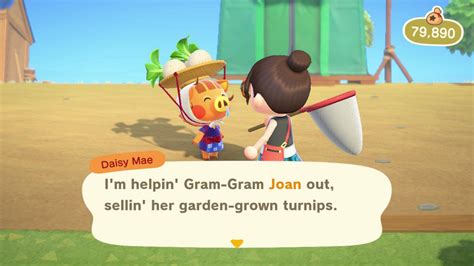 Daisy Animal Crossing