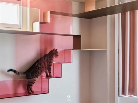Cat Climbing Stairs in Pink Room