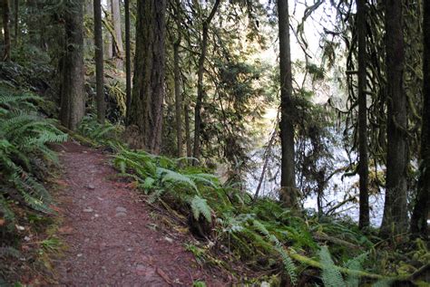 Black Watch Sasquatch: Eagle Fern Park - Estacada, Oregon