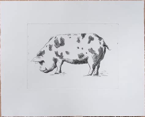 Pig – Phoebe Dickinson