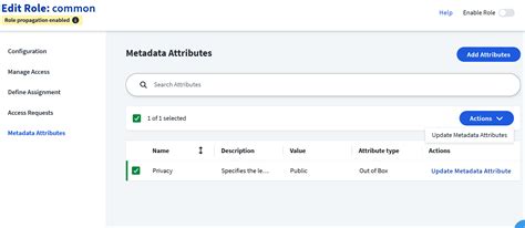 Metadata Attributes in Identity Governance Explained