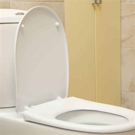 Top 10 Toilet Seat Brands in India | Bsshomestore