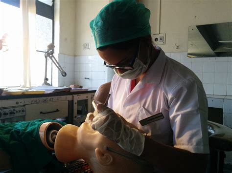 Academic Calendar | Northeastern University College of Professional Studies