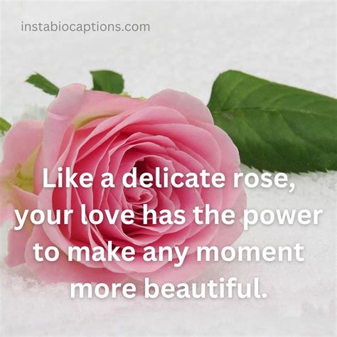 Quotes About The Rose